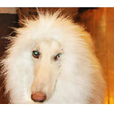 Süße Haustier Cosplay Kleidung Verklärung Kostüm Löwenmähne Winter warme Perücke Katze große Hunde Party Dekoration mit Ohr Haustierbekleidung