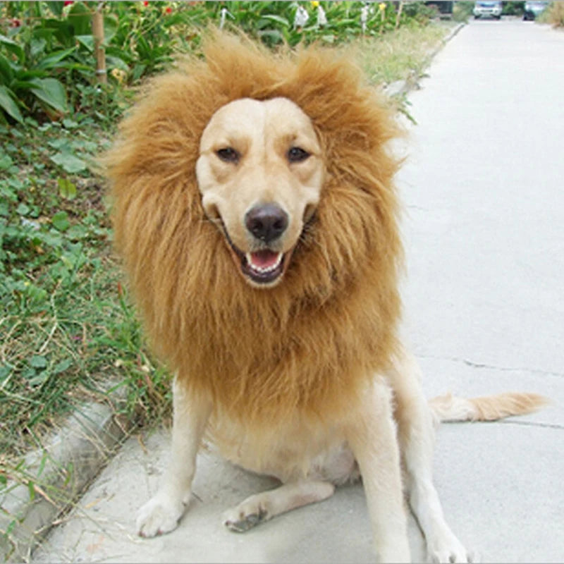 Süße Haustier Cosplay Kleidung Verklärung Kostüm Löwenmähne Winter warme Perücke Katze große Hunde Party Dekoration mit Ohr Haustierbekleidung