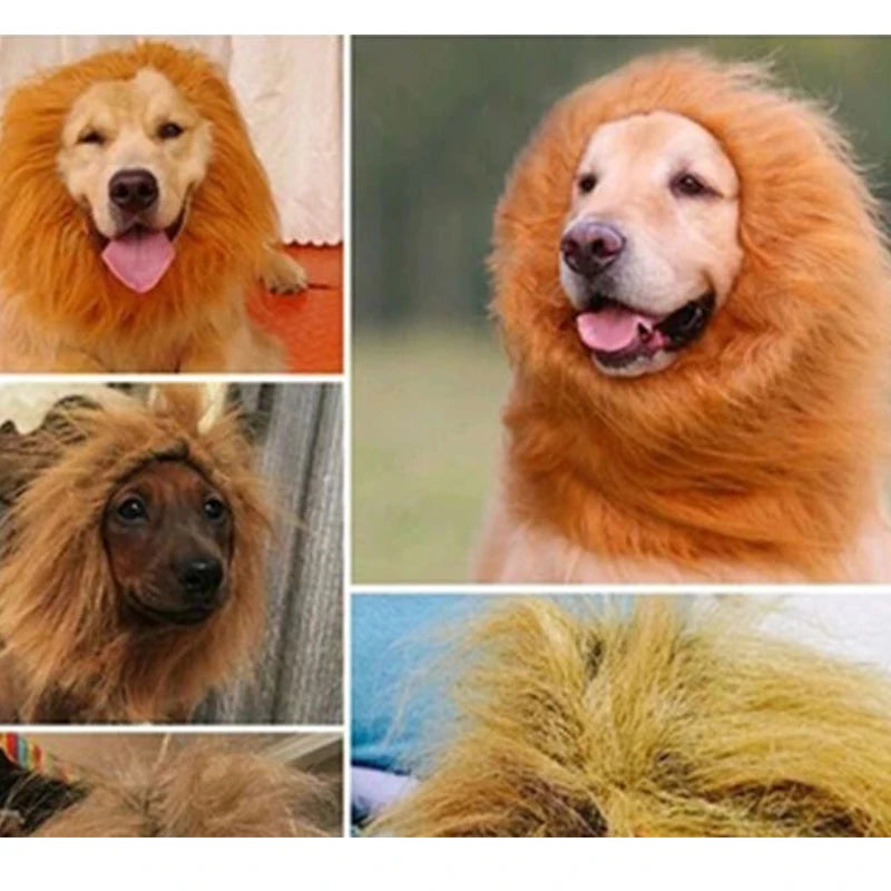Süße Haustier Cosplay Kleidung Verklärung Kostüm Löwenmähne Winter warme Perücke Katze große Hunde Party Dekoration mit Ohr Haustierbekleidung