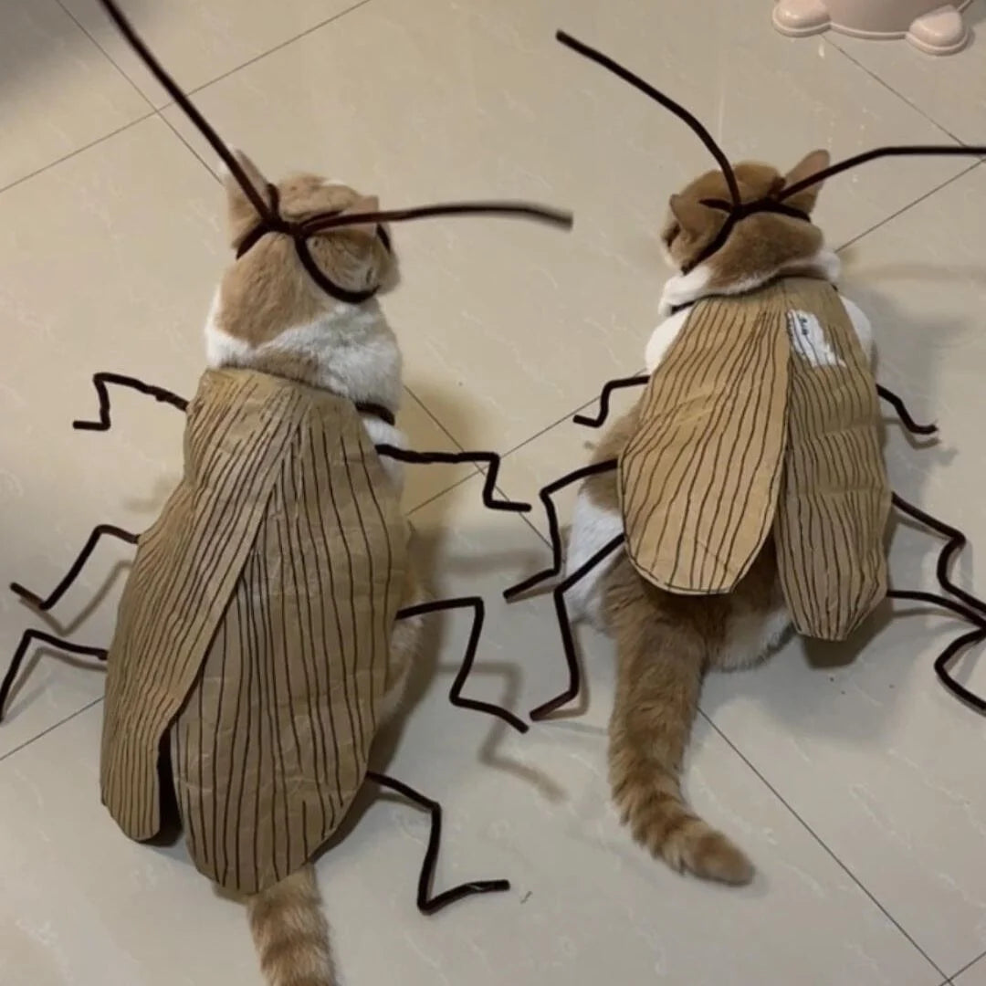 Realistic Cockroach Cat Costume with Detachable Wings Funny Cockroach Clothing for Cat | Cosplay Dress Up DIY Material Pack