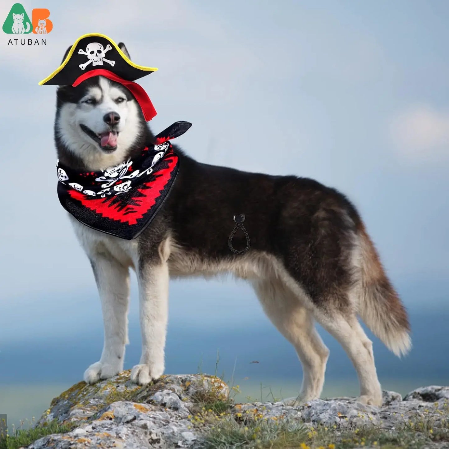 ATUBAN Skull Print Pet Pirate Hat with Pirate Skull Bandana Dog Cat Captain Cap Halloween Pirate Cosplay Costume Halloween Party