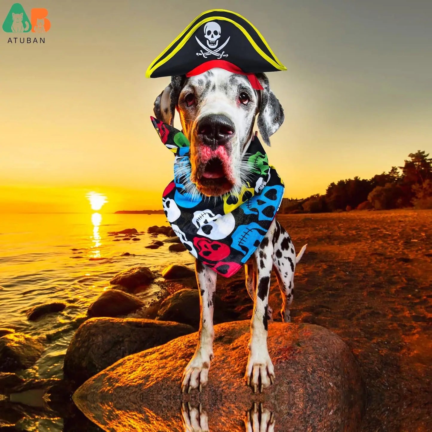ATUBAN Skull Print Pet Pirate Hat with Pirate Skull Bandana Dog Cat Captain Cap Halloween Pirate Cosplay Costume Halloween Party