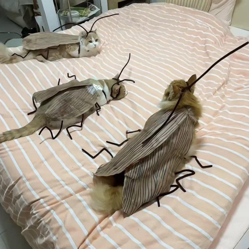 Realistic Cockroach Cat Costume with Detachable Wings Funny Cockroach Clothing for Cat | Cosplay Dress Up DIY Material Pack