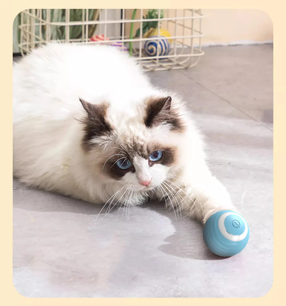 Interaktiver Katzenball, elektrischer automatischer Rollball, intelligentes Spielzeug für Katzen, intelligentes Katzenspielzeug, rotierender Ball, Katzenspielzubehör