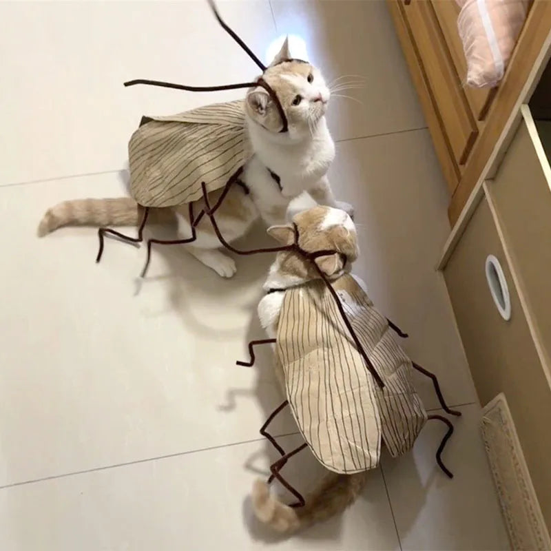 Realistic Cockroach Cat Costume with Detachable Wings Funny Cockroach Clothing for Cat | Cosplay Dress Up DIY Material Pack