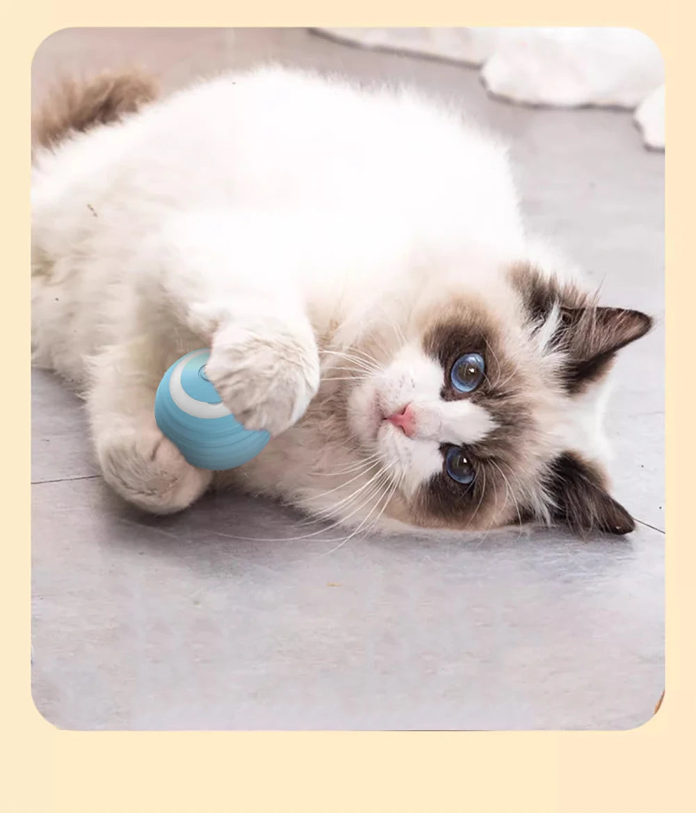 Interaktiver Katzenball, elektrischer automatischer Rollball, intelligentes Spielzeug für Katzen, intelligentes Katzenspielzeug, rotierender Ball, Katzenspielzubehör