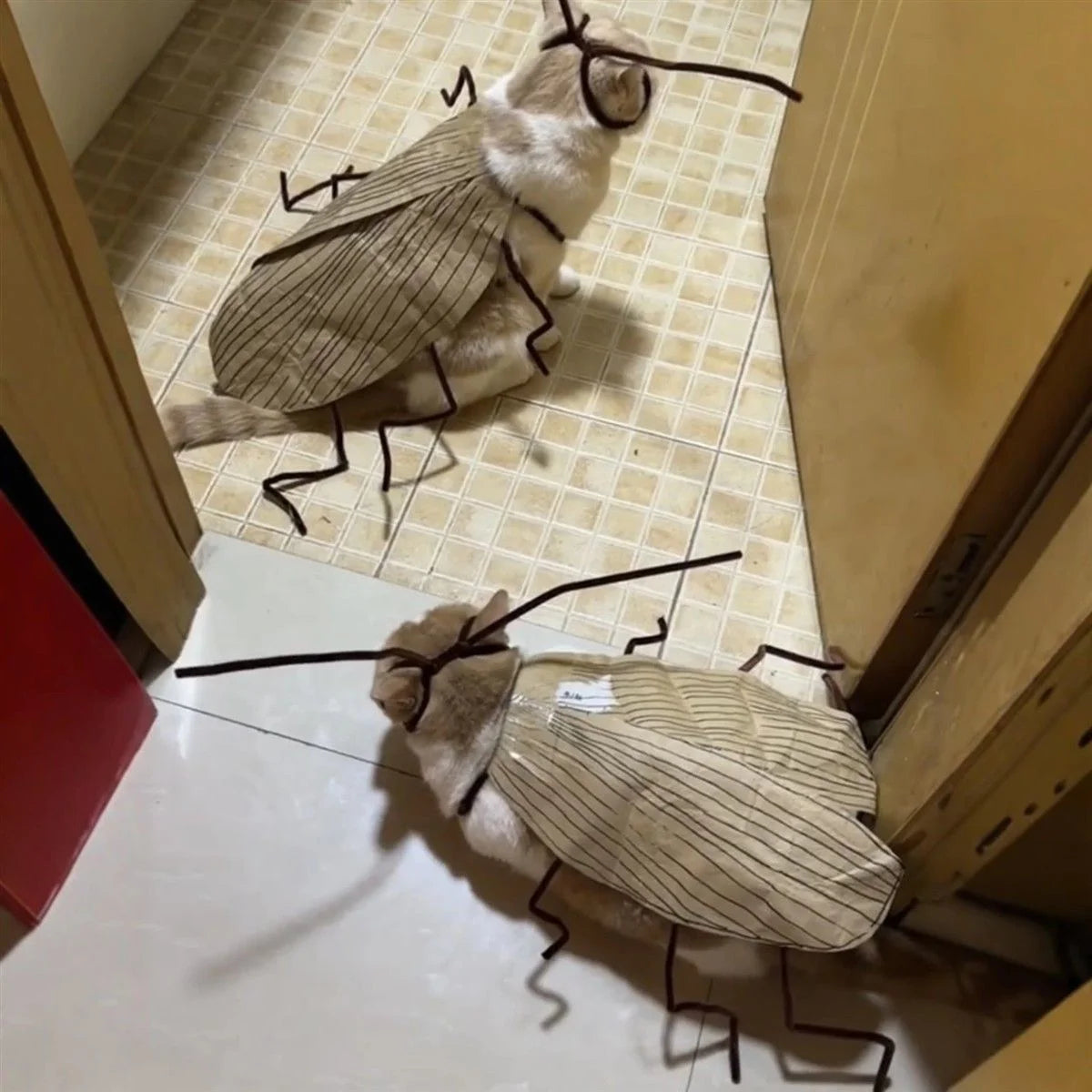 Realistic Cockroach Cat Costume with Detachable Wings Funny Cockroach Clothing for Cat | Cosplay Dress Up DIY Material Pack