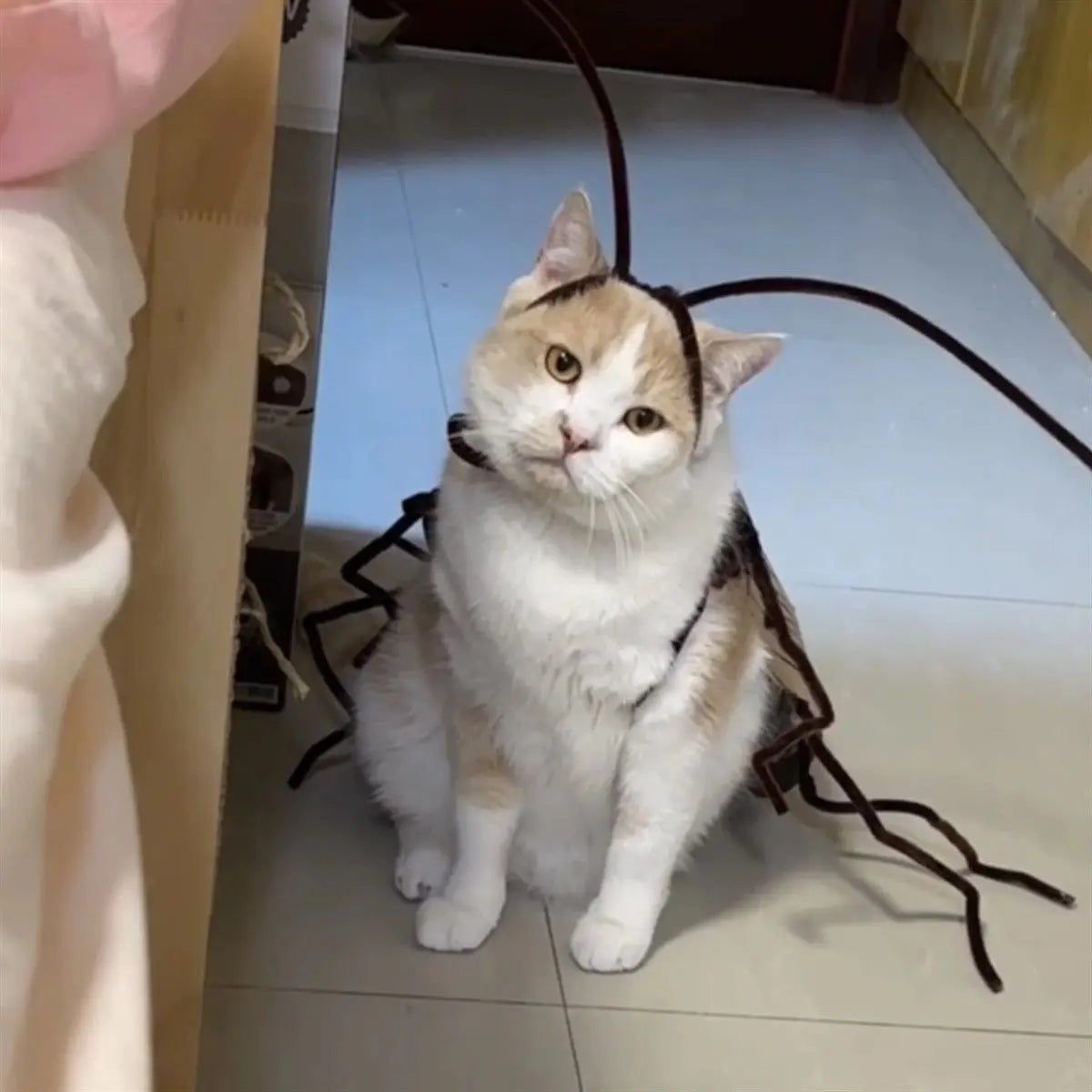Realistic Cockroach Cat Costume with Detachable Wings Funny Cockroach Clothing for Cat | Cosplay Dress Up DIY Material Pack