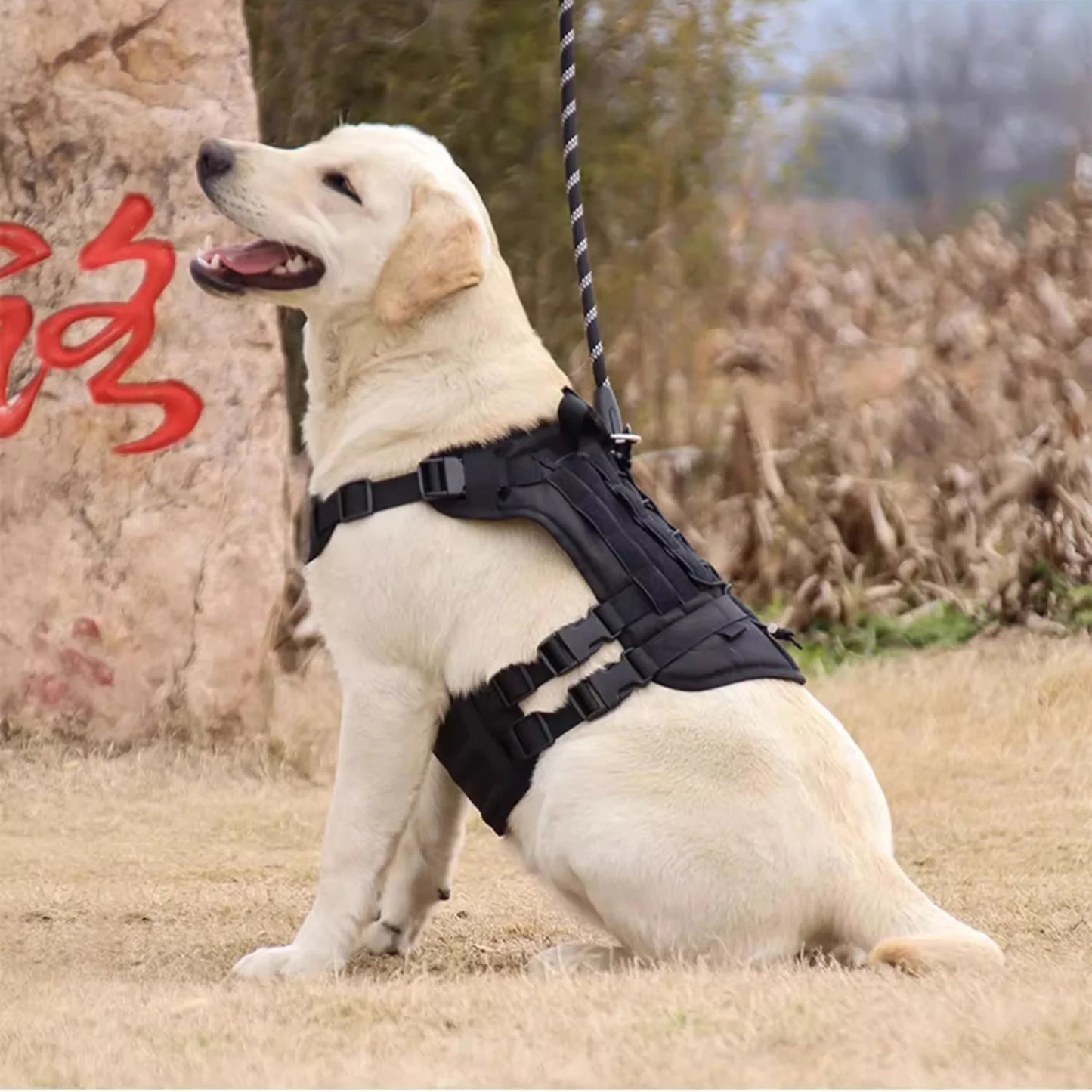 Militärisches großes Hundegeschirr, Trainingsweste für Deutsche Schäferhunde, taktisches Hundegeschirr und Leine-Set für Hundezubehör