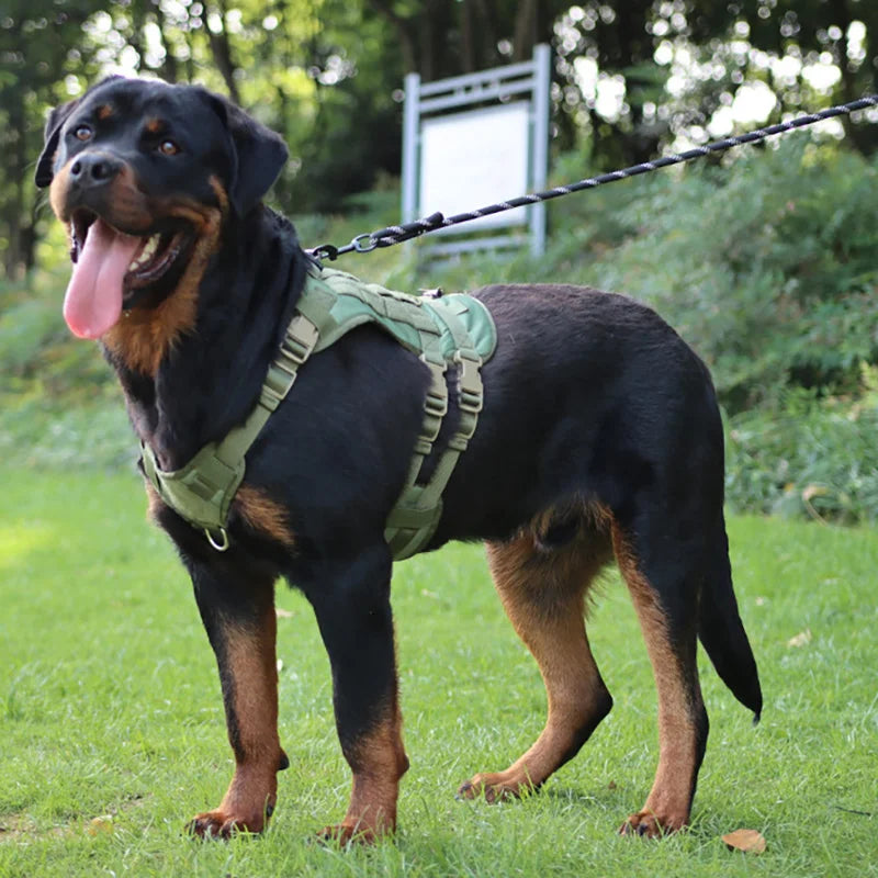 Militärisches großes Hundegeschirr, Trainingsweste für Deutsche Schäferhunde, taktisches Hundegeschirr und Leine-Set für Hundezubehör