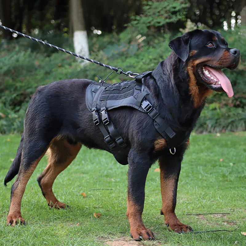 Militärisches großes Hundegeschirr, Trainingsweste für Deutsche Schäferhunde, taktisches Hundegeschirr und Leine-Set für Hundezubehör
