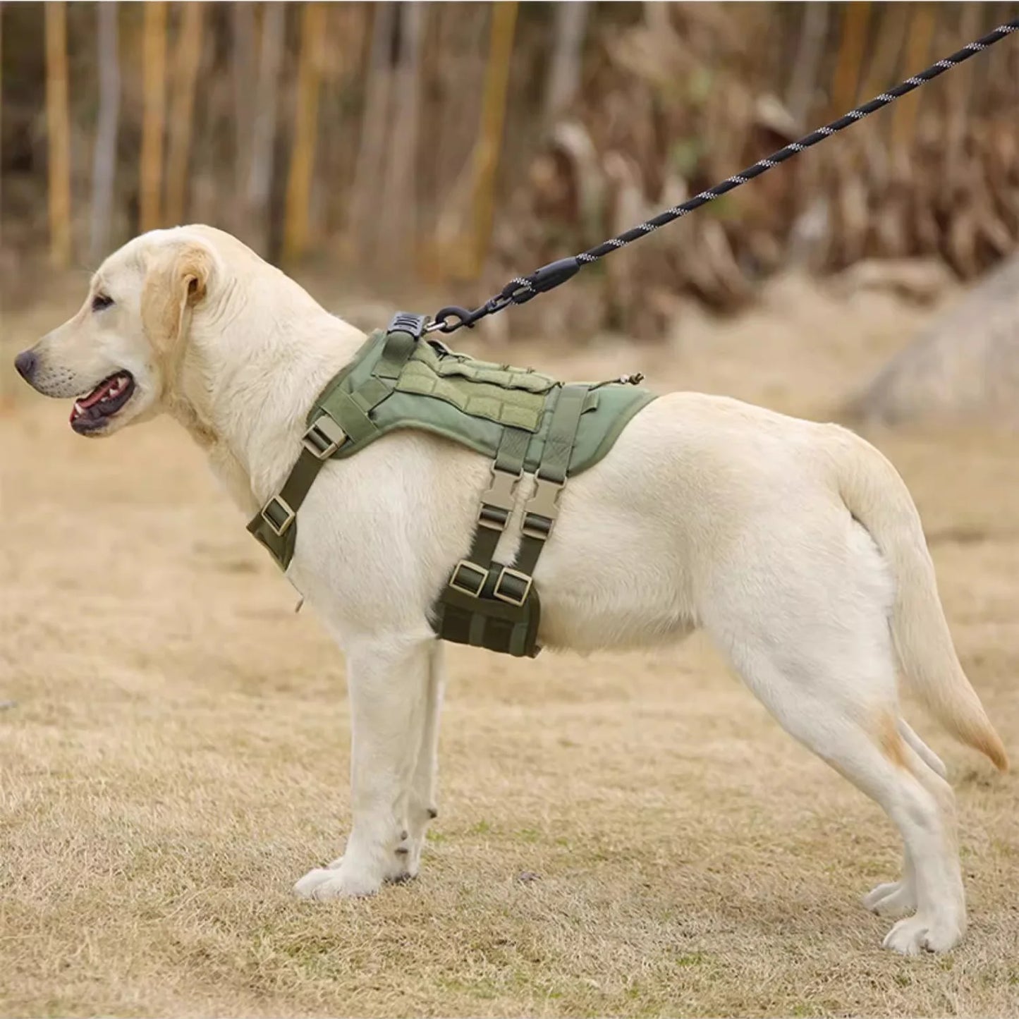 Militärisches großes Hundegeschirr, Trainingsweste für Deutsche Schäferhunde, taktisches Hundegeschirr und Leine-Set für Hundezubehör